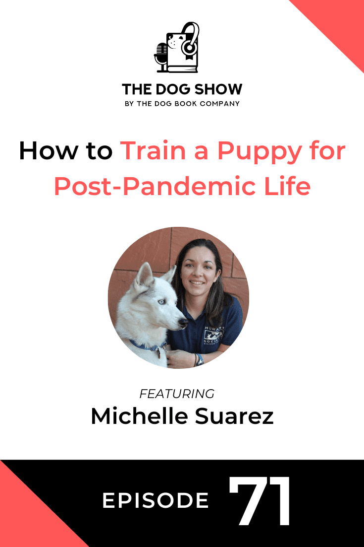 How to Train a Puppy for Post-Lockdown Life with Michelle Suarez (Episode 71)