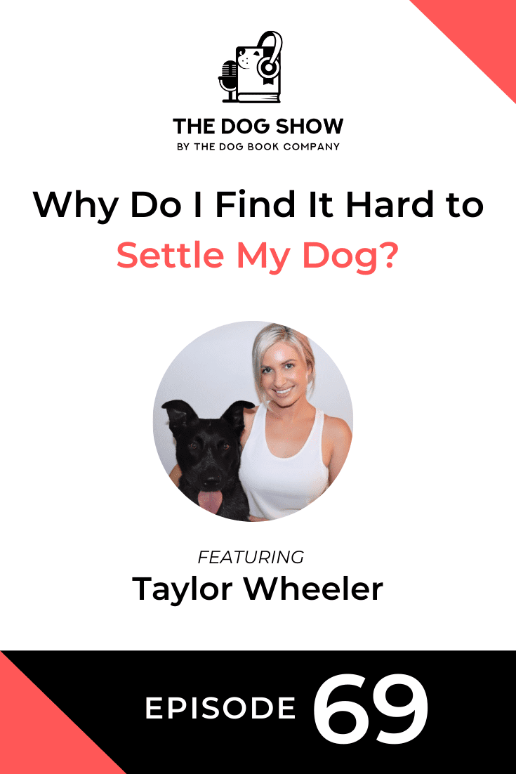 Why Do I Find It Hard to Settle My Dog? Featuring Taylor Wheeler (Episode 69)