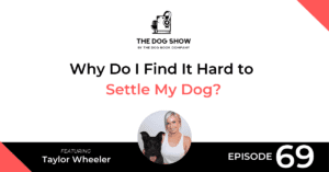 Why Do I Find It Hard to Settle My Dog? Featuring Taylor Wheeler