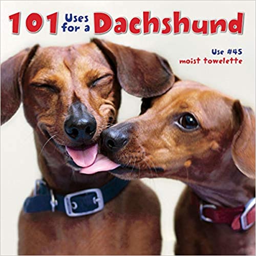 2. Everything Dachshund Book: A Complete Guide To Raising, Training, And Caring For Your Dachshund